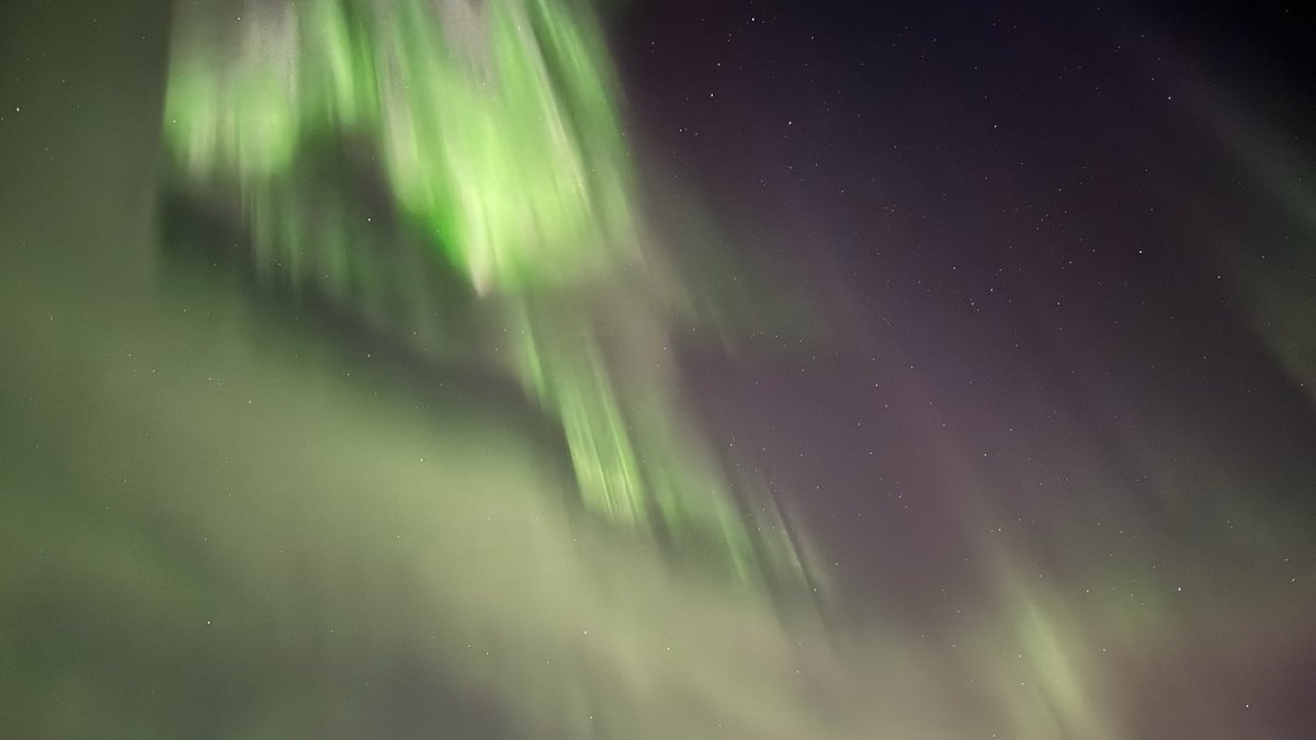 xenomnk's tweet image. 