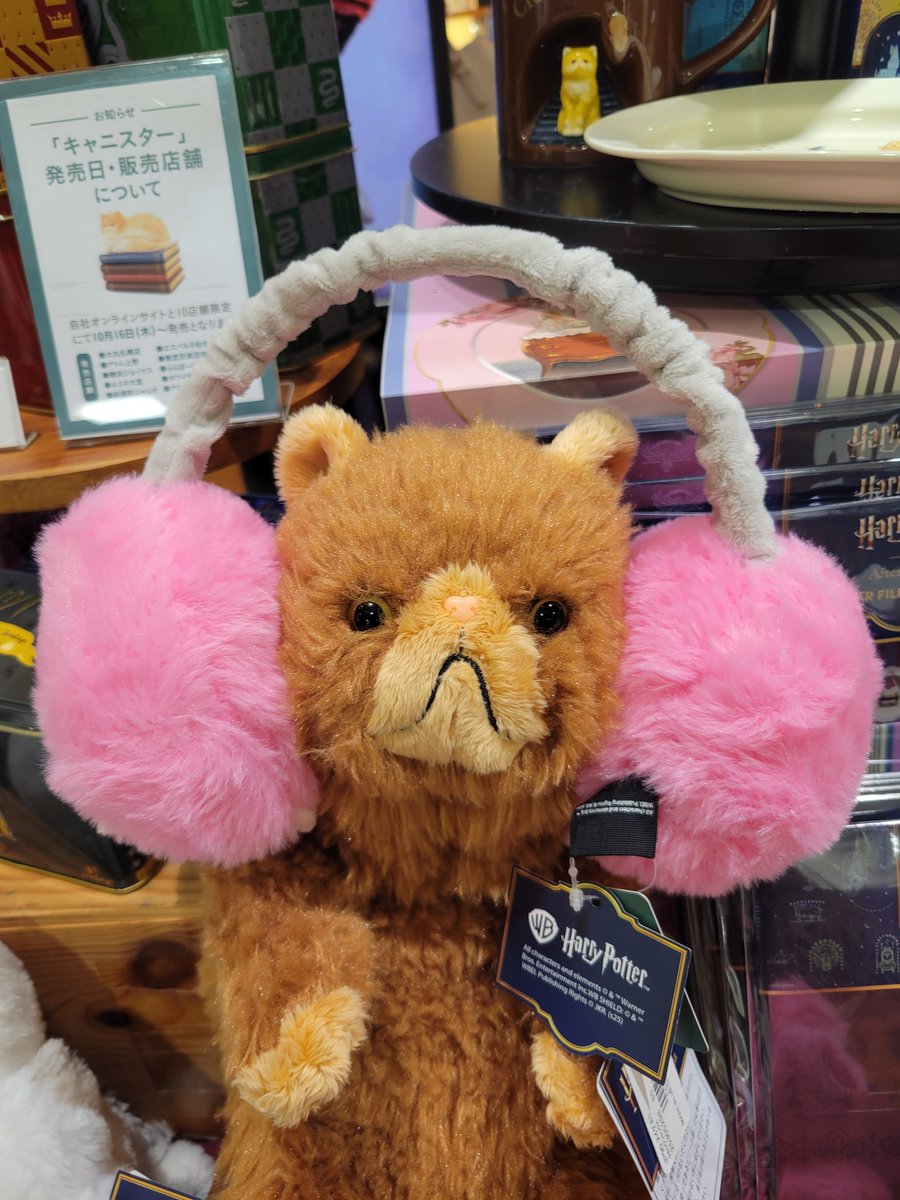 うっかり買いそうになった