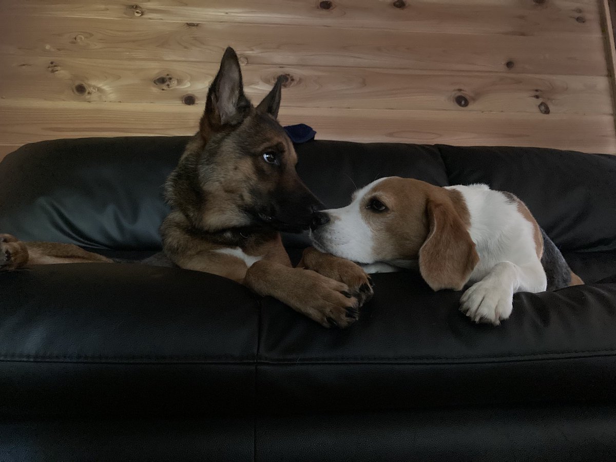 はま&パン tweet media