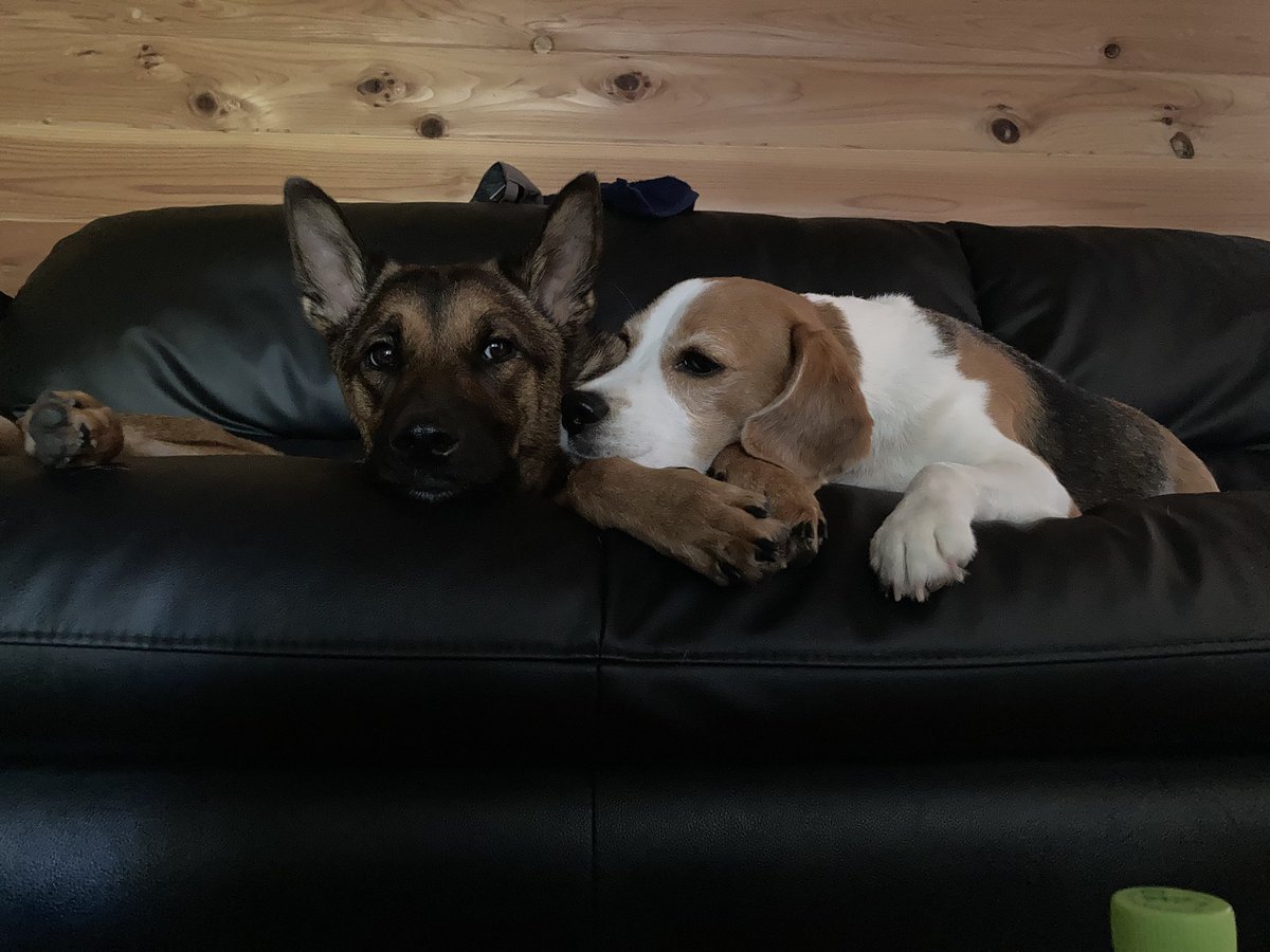 はま&パン tweet media