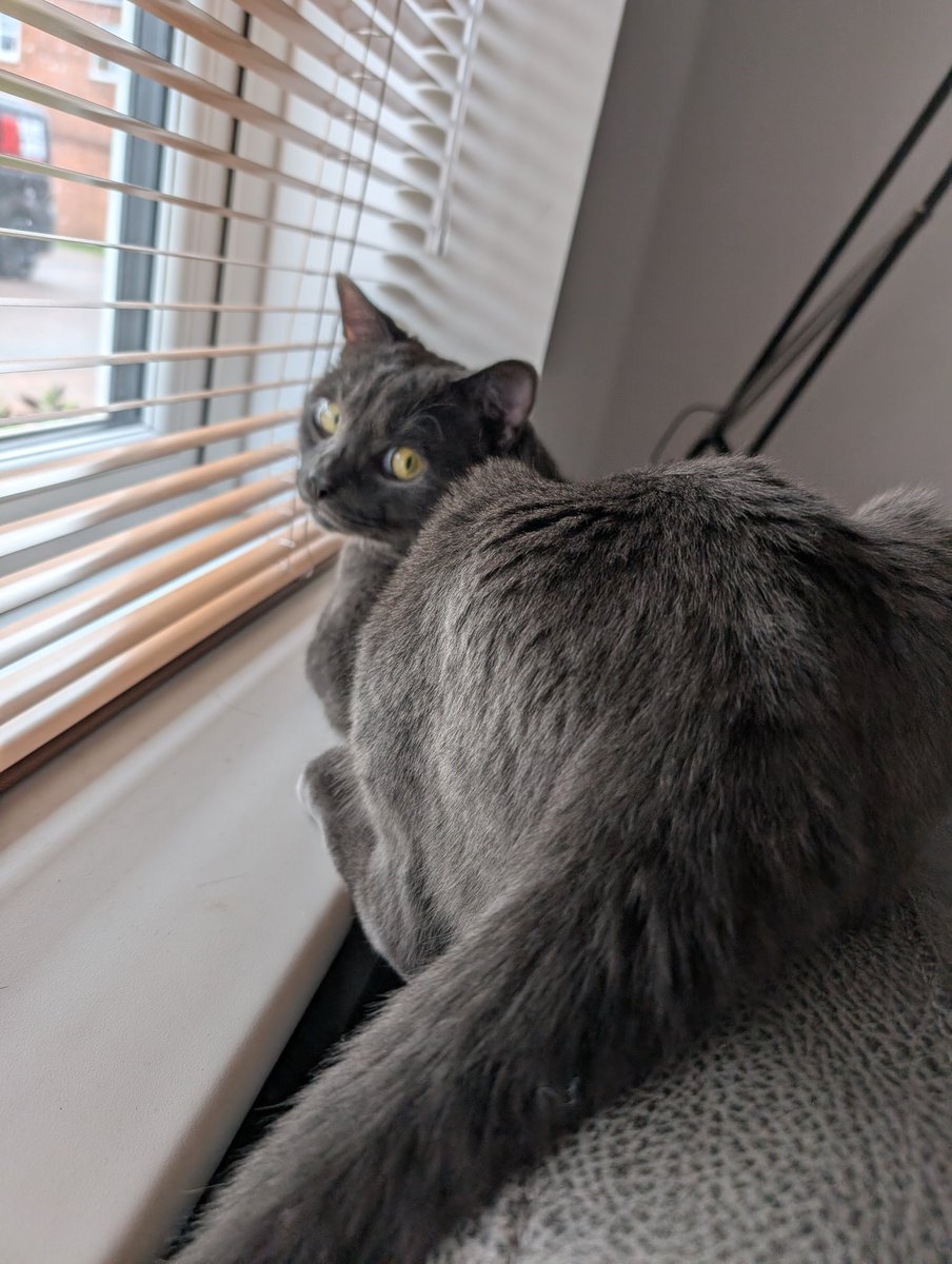 im live rn and nero said you have to come say hi !!! 
link below