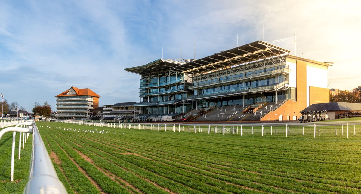 Coral's tweet photo. 🎟️ Fancy joining us at @yorkracecourse for the Coral Sprint Trophy? 🎟️

We're giving away 2 pairs of tickets for the 11th of October. To enter...

🔵 Follow @Coral & @CRCofficial 
🔵 Like & Retweet
🔵 Tell us below your favourite flat jockey

ℹ️ 18+. Closes 7pm 05/10. T&C's Apply.
