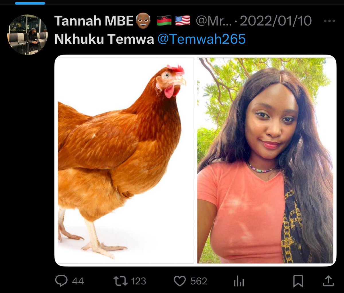 Tweet media one