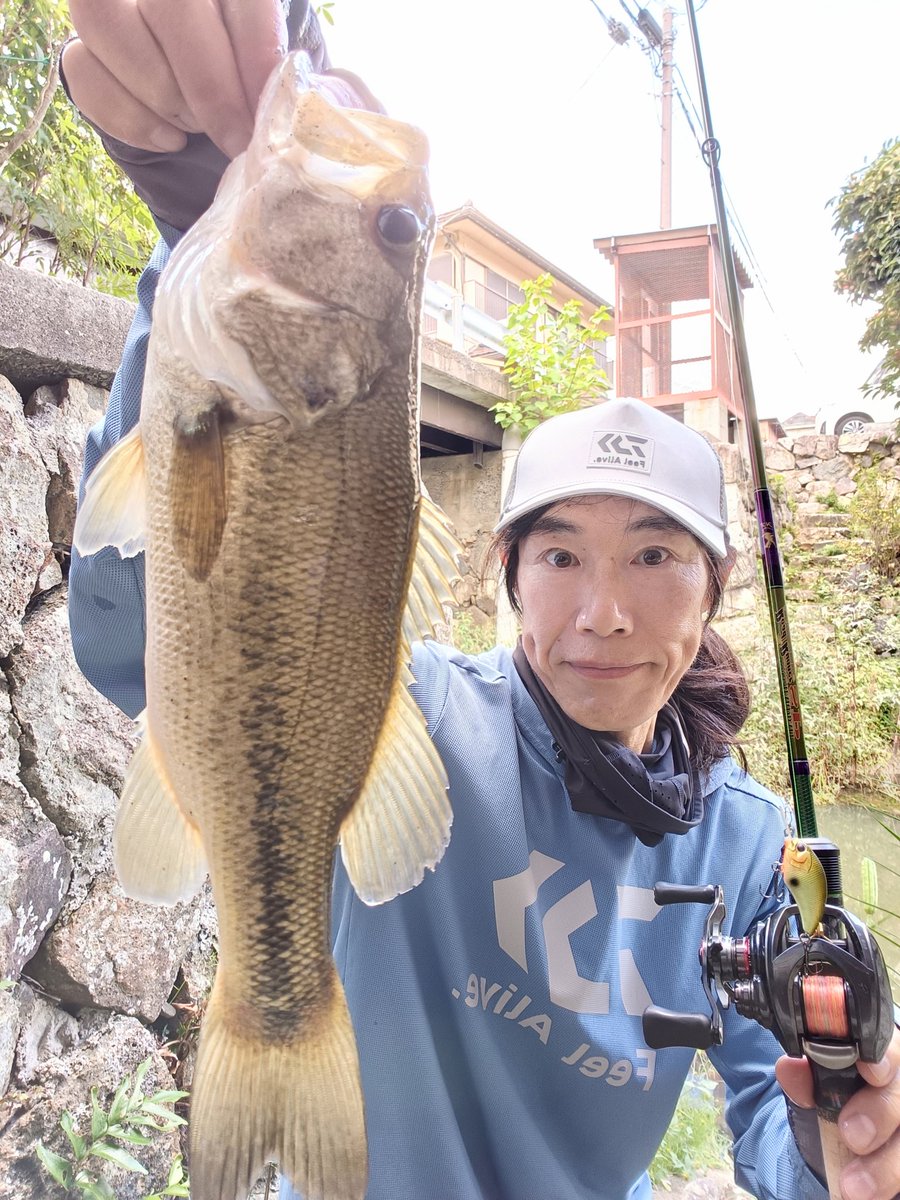 coayu2's tweet photo. ピーカン無風の厳しい中でも
喰わせられるのがタイニーブリッツの真骨頂デス‼️
アリガトー☺️☺️
#バス釣り
#タイニーブリッツMR
#クランクベイト大好き
#ロードランナーHB630LL
#スティーズCT https://t.co/NsK3KJVnsj