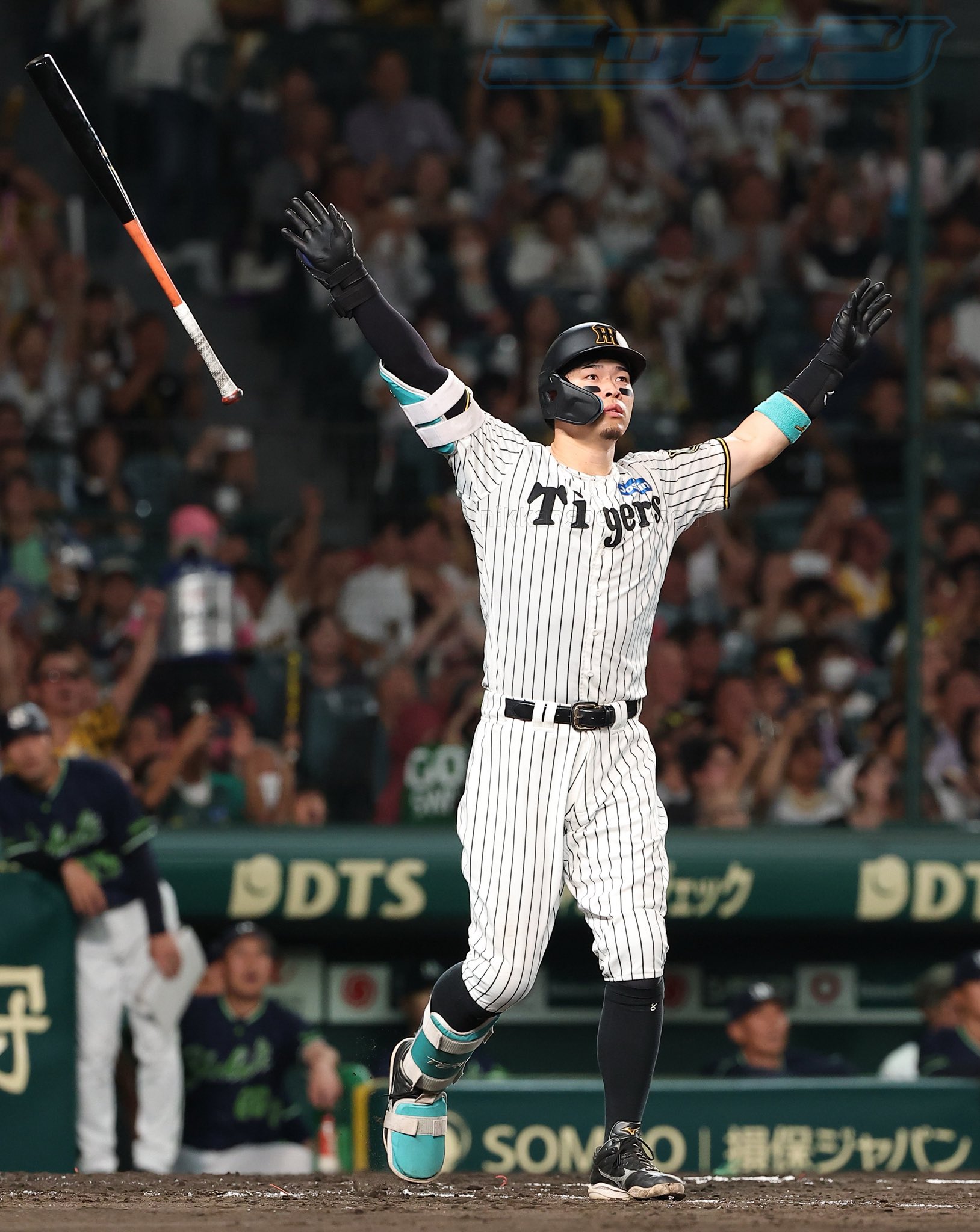 Hanshin Tigers ユニフォーム Hanshin Tigers ユニフォーム M 2022-2024 Hanshin Tigers