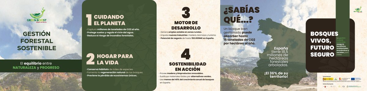 GreenBoostES's tweet photo. 🌲 ¿Sabías que un bosque bien gestionado puede absorber hasta 15 toneladas de CO₂ por hectárea al año? Eso no es solo sostenibilidad... ¡es acción climática en estado puro! 💥 https://t.co/pOmt6umHjQ