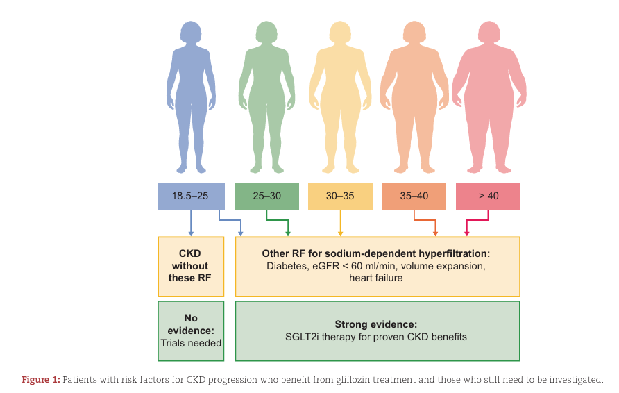 NDTsocial's tweet photo. SGLT2 inhibitors in CKD: 

🤔are they really effective in all patients?

🆓 https://t.co/MacxDRPPYw https://t.co/ffm4x2OgkF