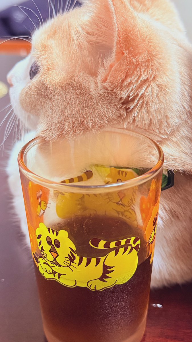 parallel_parkxx's tweet image. 超ド級のあまえんぼ娘　どこにでもついてきます