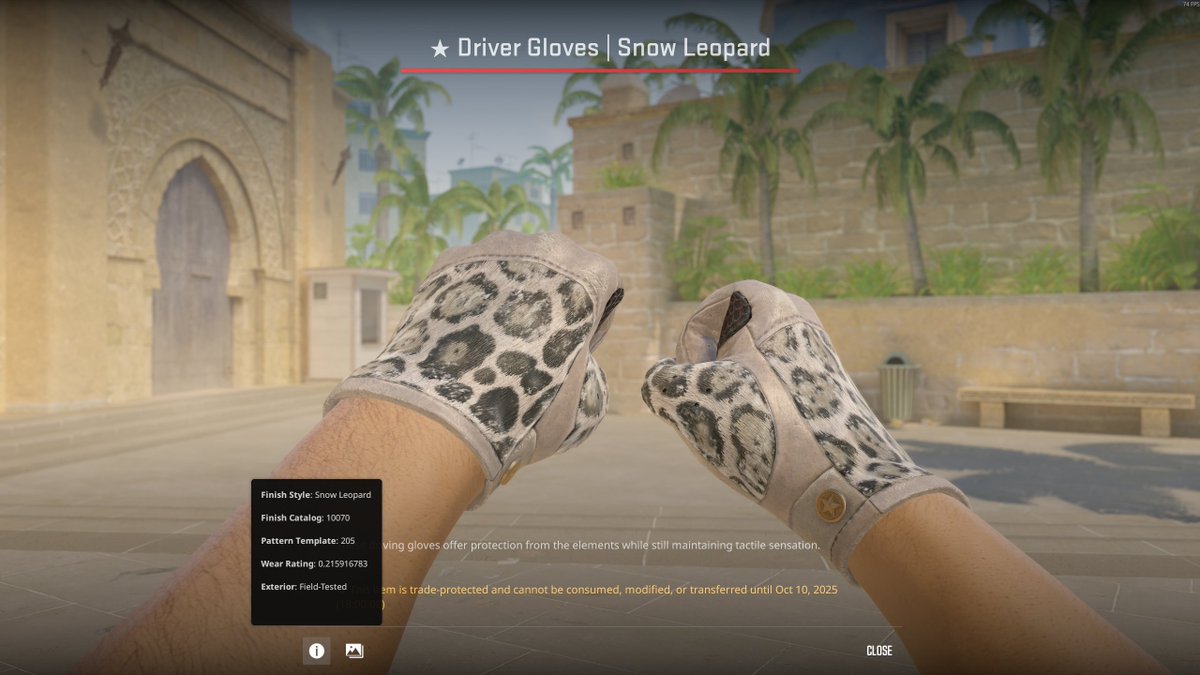 bwonesCS's tweet photo. now i own my dream gloves yippieeeeee!!!

0.21 snow leopards https://t.co/1qAVizz5Ph