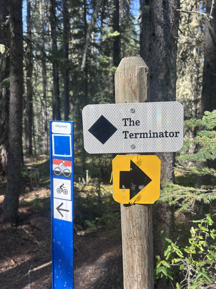 digital_samarai's tweet image. Enduro Biking in the Rockies #Canmore #Alberta #Odyssey #CrossCountry #Downhill #SantaCruz #GrizzlyPaw #Brewery #Camping