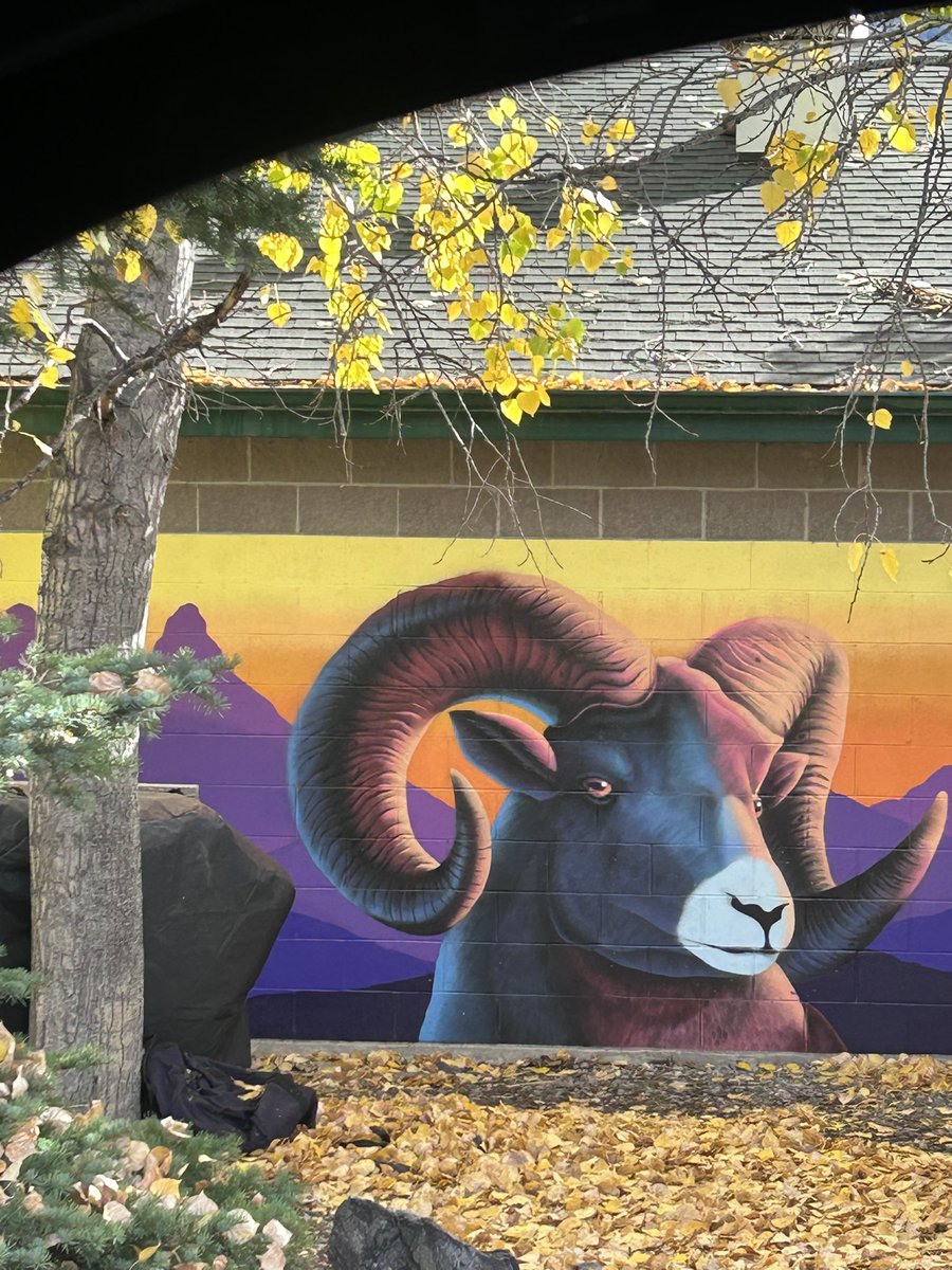 digital_samarai's tweet image. Enduro Biking in the Rockies #Canmore #Alberta #Odyssey #CrossCountry #Downhill #SantaCruz #GrizzlyPaw #Brewery #Camping