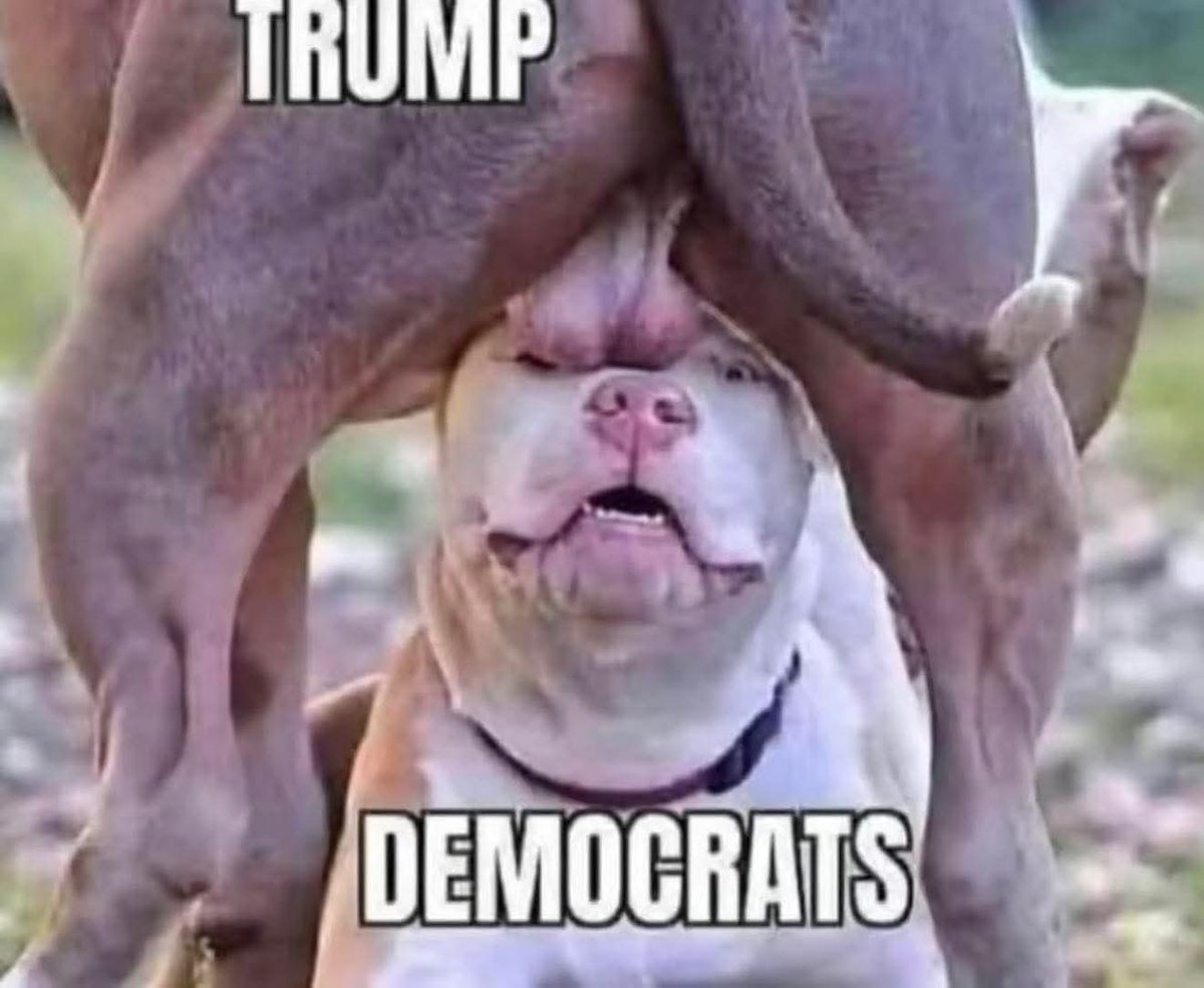 🇺🇲🇺🇸Made in the USA🇺🇲🇺🇲 (@usamade1983) on Twitter photo 