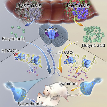 _aestheticprimal_ tweet media