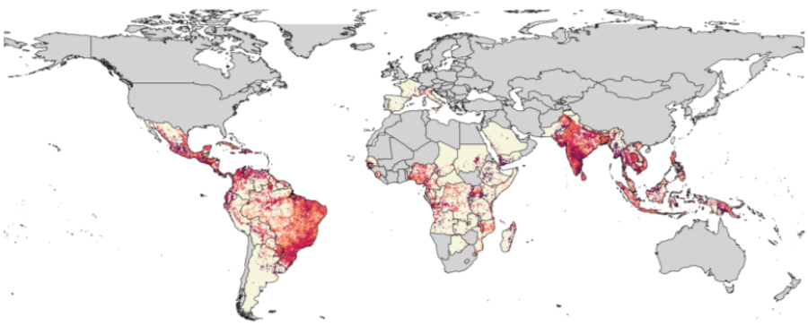 LSHTM's tweet image. Maps suggest India could bear biggest impact from mosquito-borne #chikungunya🌏

Hyolim Kang &amp;amp; Kaja Abbas discuss most comprehensive mapping of global risk of chikungunya, suggests as infections spread 12 million people in #India could be at risk.

lshtm.ac.uk/newsevents/new…
