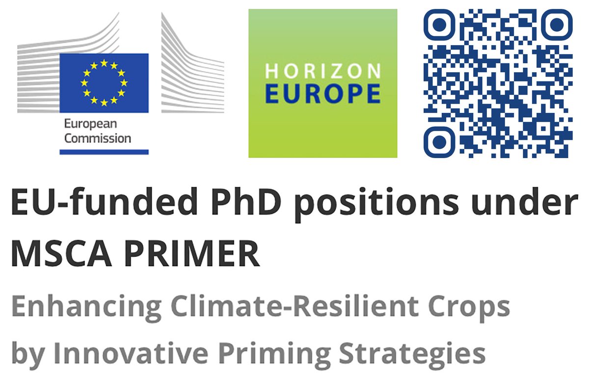 David Honys tweet media