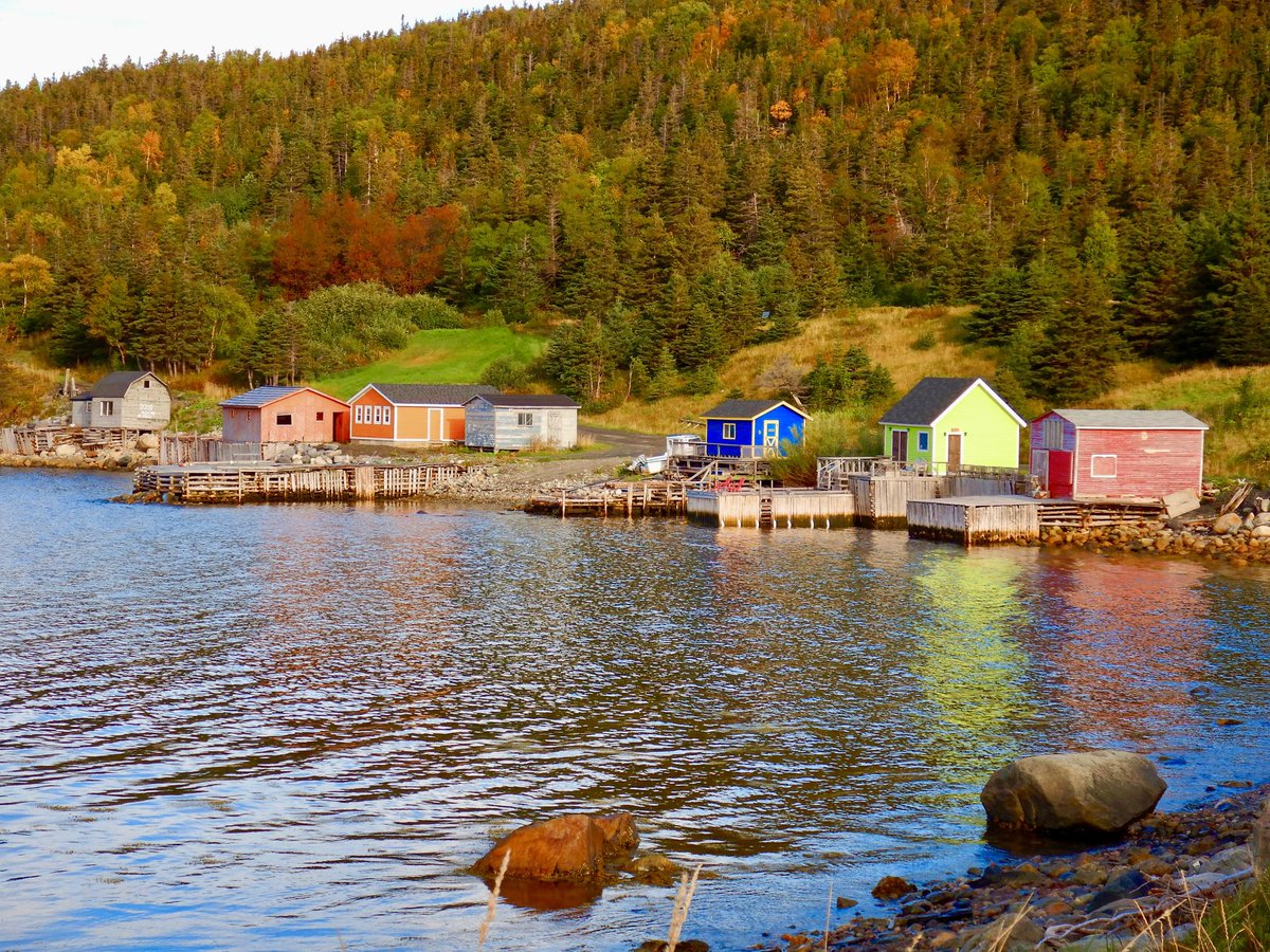 The fall colours of Wild Cove just south of Rocky Harbour where some fishers have their summer cabins to live in during lobster season.