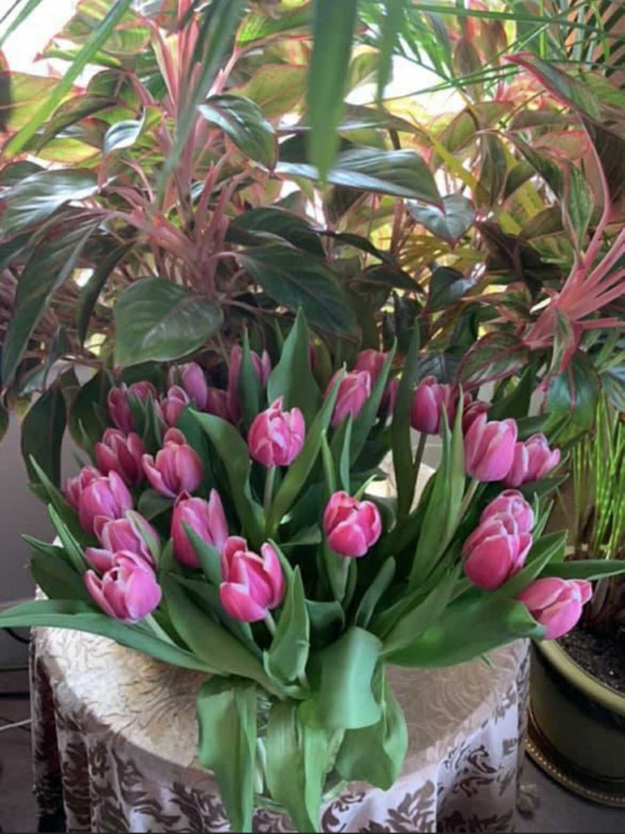 اللهم فرّج هم كل مهموم، واشفِ كل مريض، واقضِ حاجة كل محتاج.