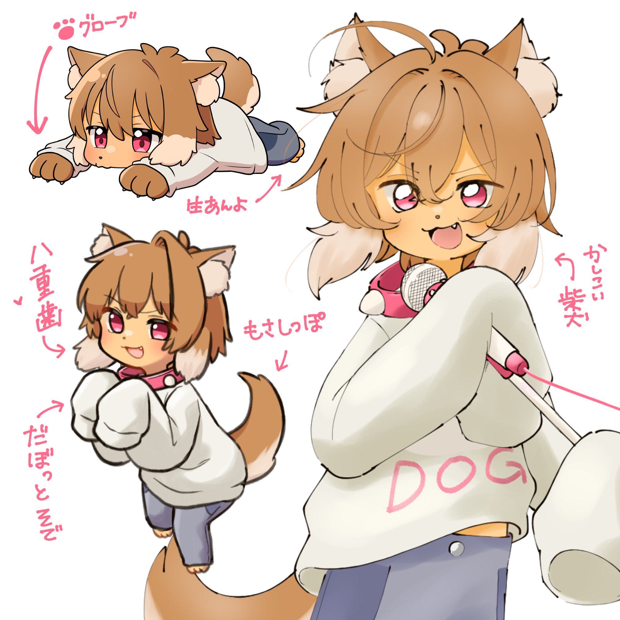 いぬ好き(ง ᵕωᵕ)ว♪ 狗柴 犬 🎼🐕 ᴋᴜsʜɪʙᴀ ᴋᴇɴ ໒꒱ on X: 