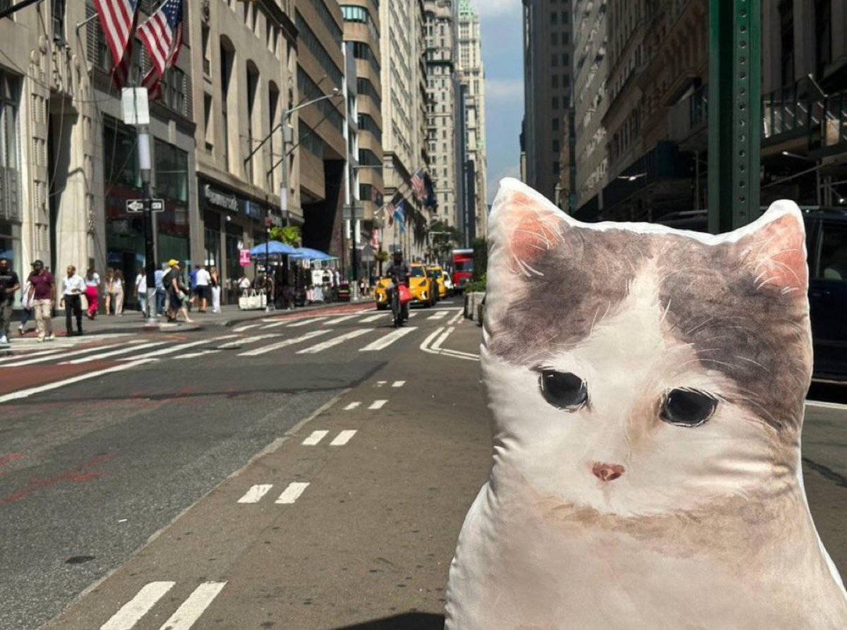 <a href="/michionsolana/">michi</a> $MICHI TO BILLIONS