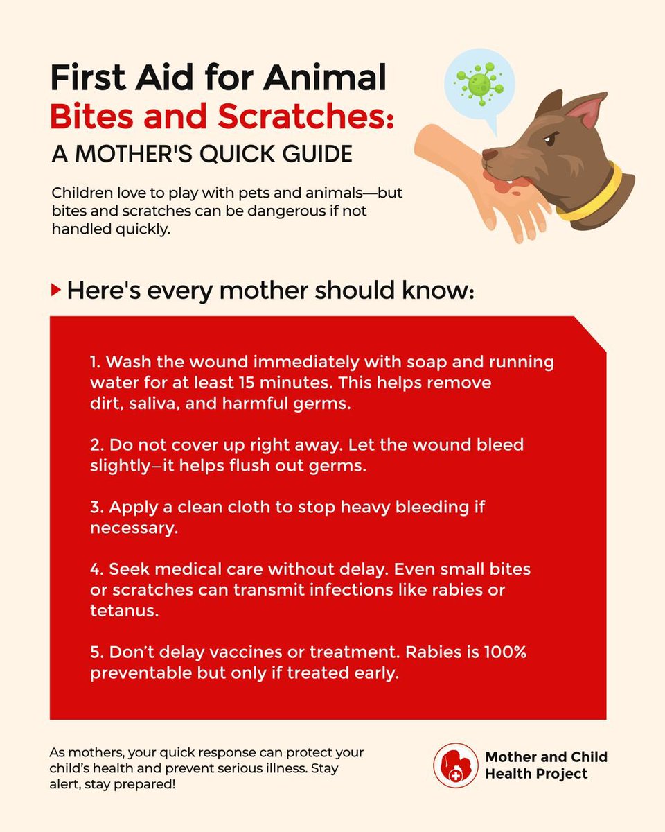 MCHProject's tweet photo. First Aid for Animal Bites and Scratches 🩹

As mothers, your quick response can protect your child’s health and prevent serious illness. Stay alert, stay prepared! 🕹️

#MotherAndChildHealth #FirstAidTips #RabiesPrevention #ChildHealth #AnimalBites #HealthEducation https://t.co/1eoe3BdjXv