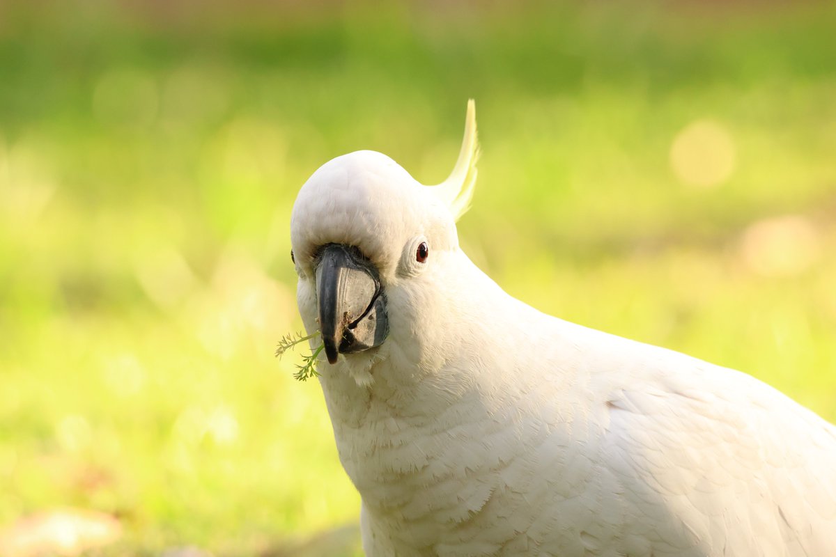 My favourite shot of the day🥰