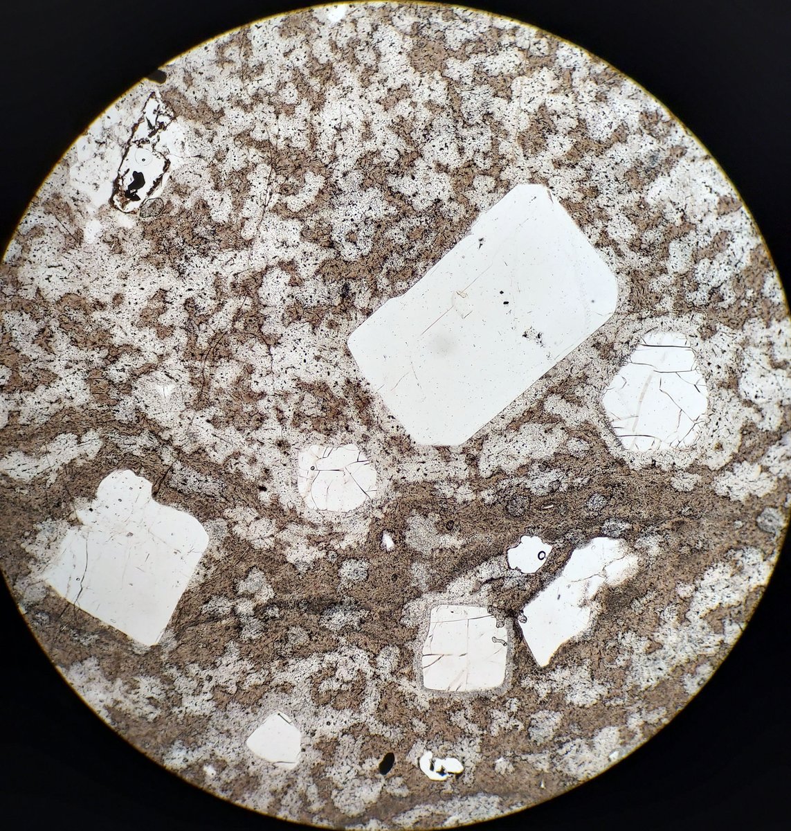 Mineralogical Society of America tweet media