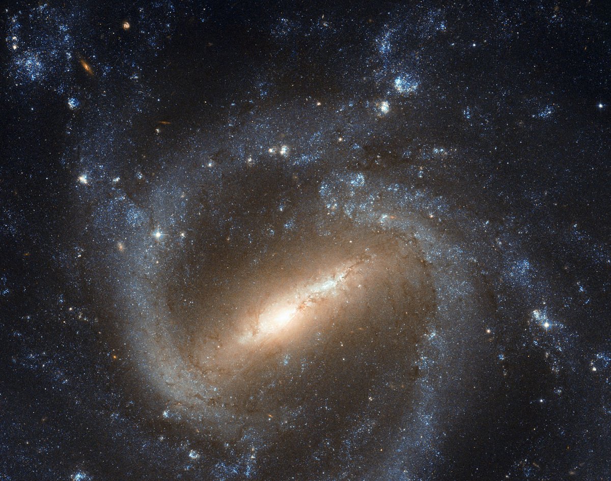 HUBBLE_space's tweet image. Our #HubbleTopImage is a classic portrait of a barred spiral galaxy 🌌

Hubble’s image of NGC 1073 is, in many ways, the archetypal portrait of a barred spiral. However, there are a few quirks here… 1/3