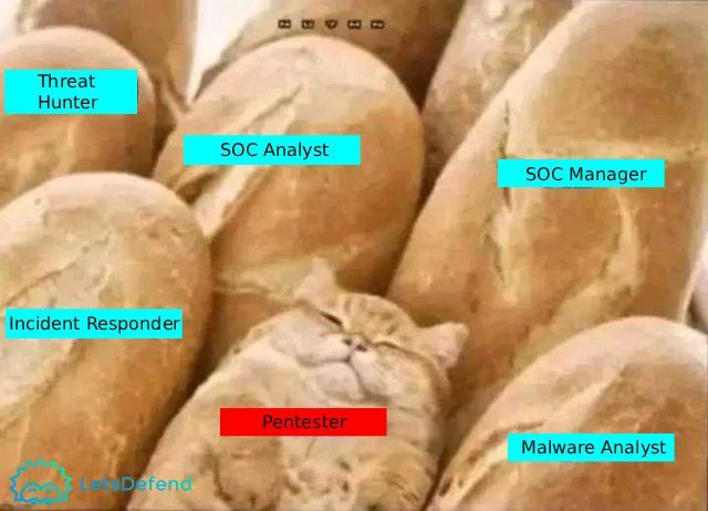 LetsDefendIO's tweet image. Pentester
