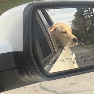 #NewProfilePic