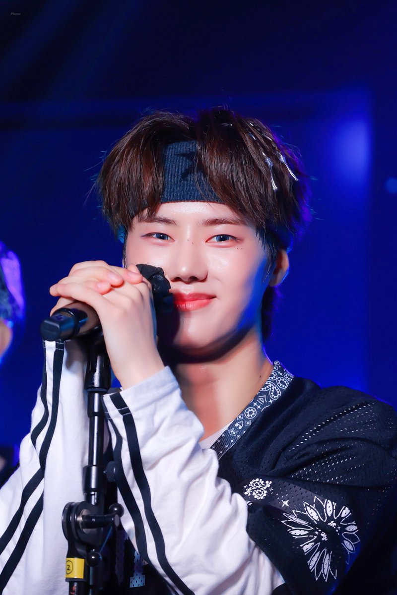 𝑷𝒍𝒖𝒎𝒆 ． tweet media