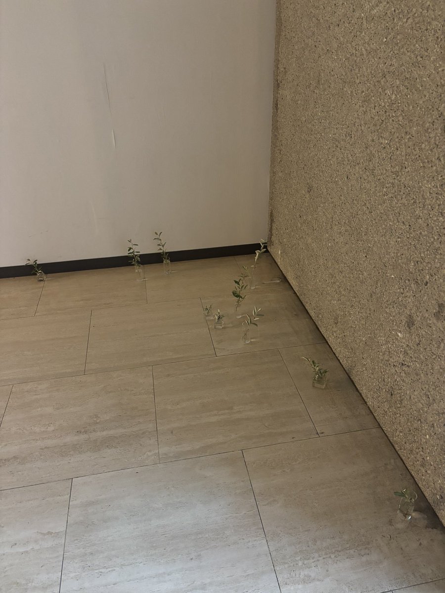 mpl_architect's tweet image. 📍建築文化週間2025「あとち」
オープニングに行ってきました〜！
大野友資さんの「閲覧室」では、無い壁を元からあったように設える等、人々が存在に気づいていない空間を、誰もが知っている空間に変化させていて、リミナルスペース的でした💭
自分で印刷する「あとちのカタログ」が良かった📄✨️