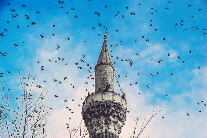 "Tasalanma! Allah bizimle beraberdir."

#deprem Marmara Denizi