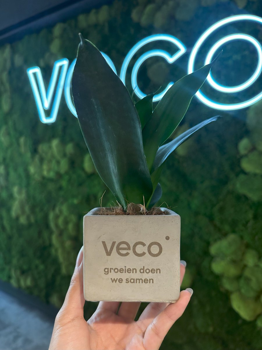 VecoPrecision's tweet photo. GROWTH 🌱

That's the message we got when everyone at #TeamVeco got their own Veco plant.

Growth for working together. Growth for achieving milestones together and growth for new innovations.

People are asking for bigger pots because the plants are thriving!

#growth #success https://t.co/79lywo6Sdu