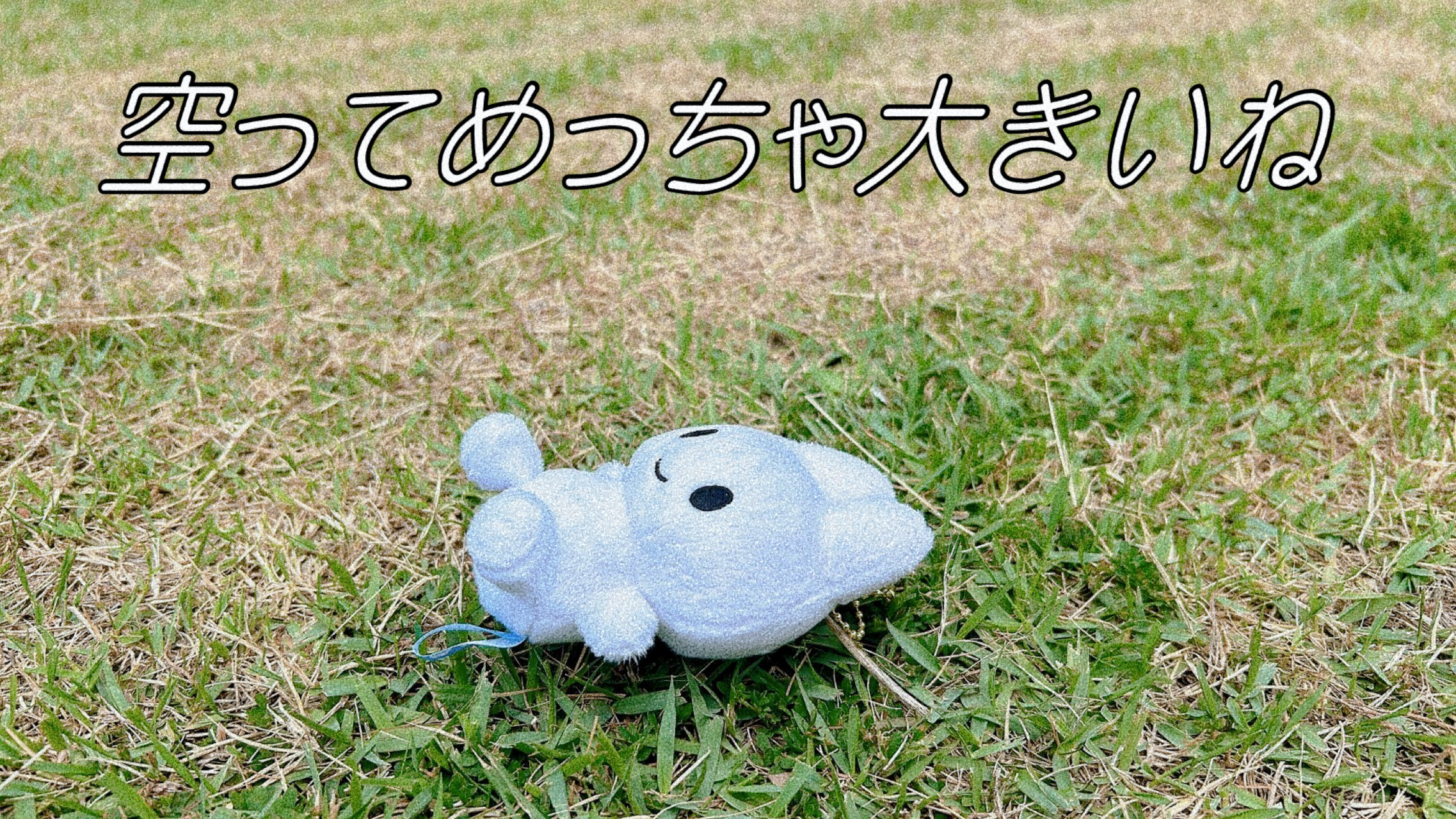 やさうさちゃん on X: 