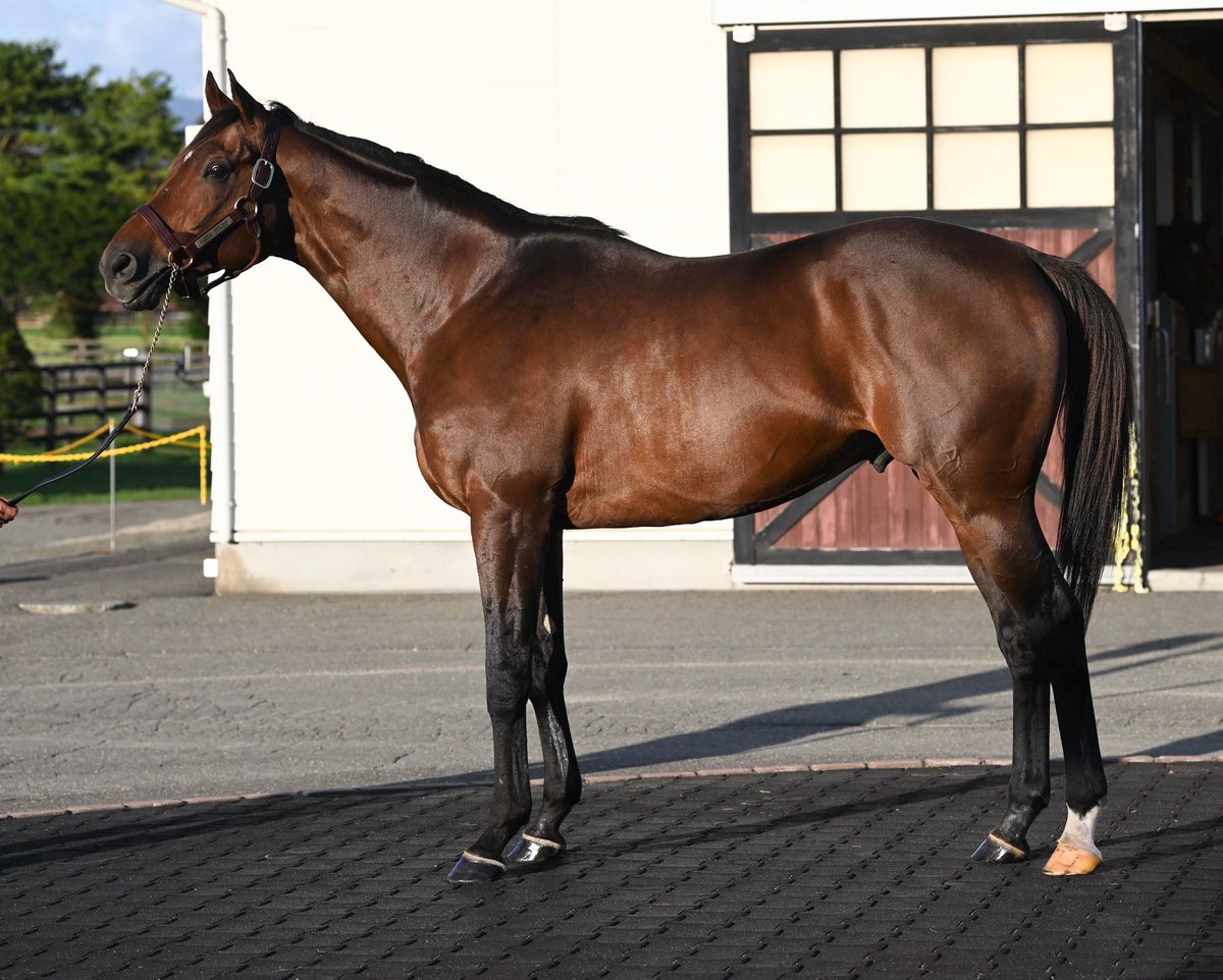 千代田牧場 公認スタッフ on X