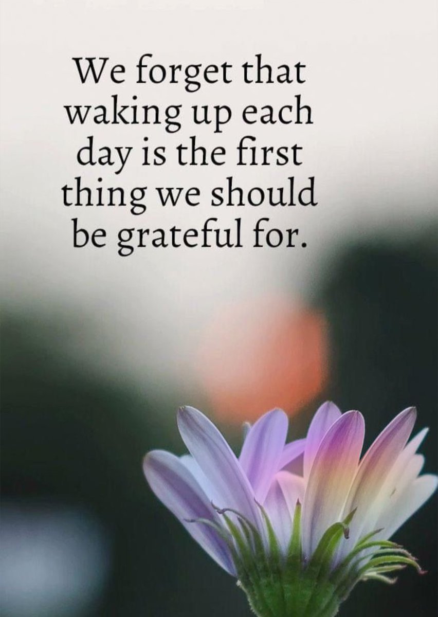TracySabolDC's tweet image. Good Thursday morning friends..grateful for another day. #GoodMorning #Thursday #grateful #quote #quotes