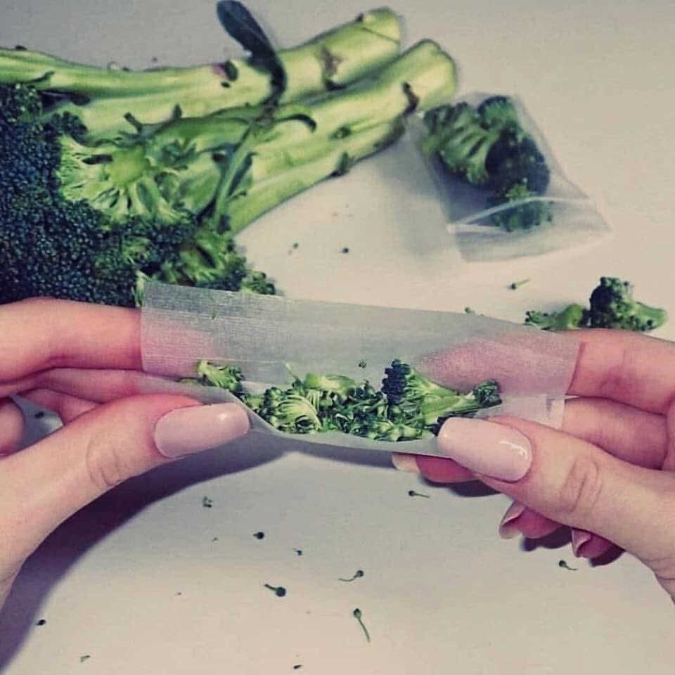 I heard somewhere broccoli is good for your joints 🌱