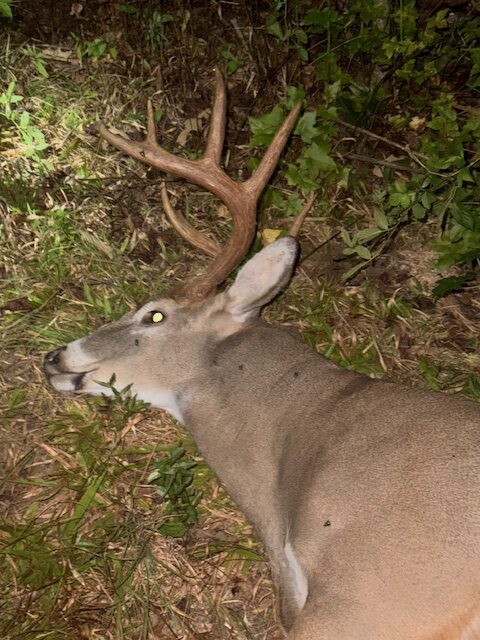 Acorns crunching. A buck in range. A well-placed shot. And the reward of harvesting your own food. 🦌🔥 

Hailey Ann Shockley's 10-point Truck-Buck submission! 

gon.com/truck-buck/hai…