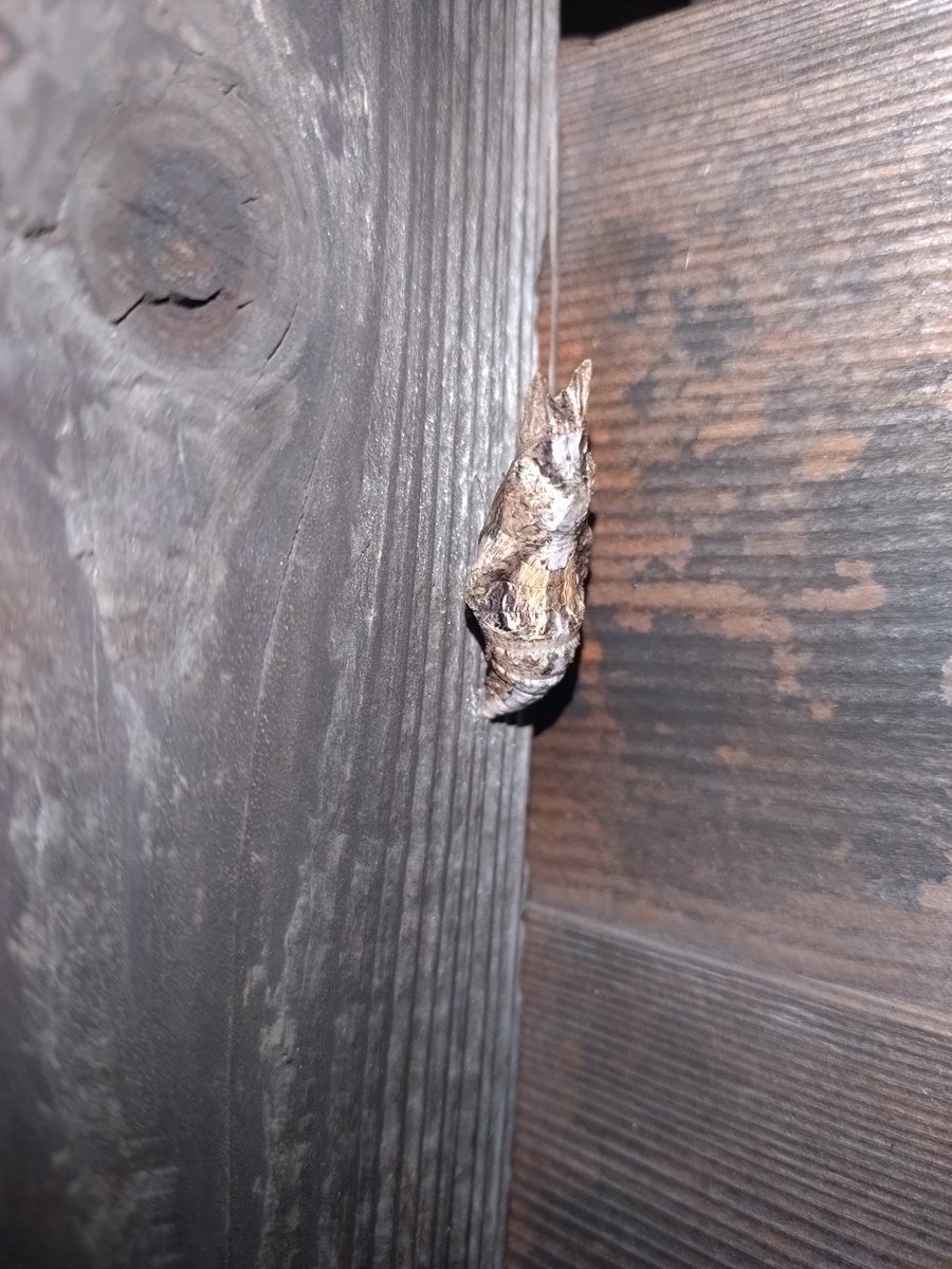 今日も今日とて（ほぼ同じ画角で撮ることに慣れてきた気がする