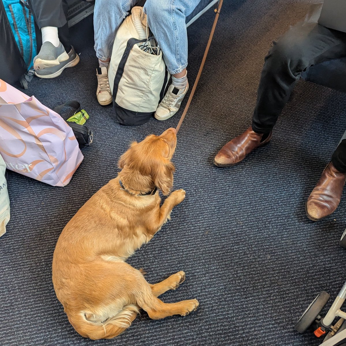 The joy of hearing strangers on the train spontaneously strike up conversation. #realpatriotism