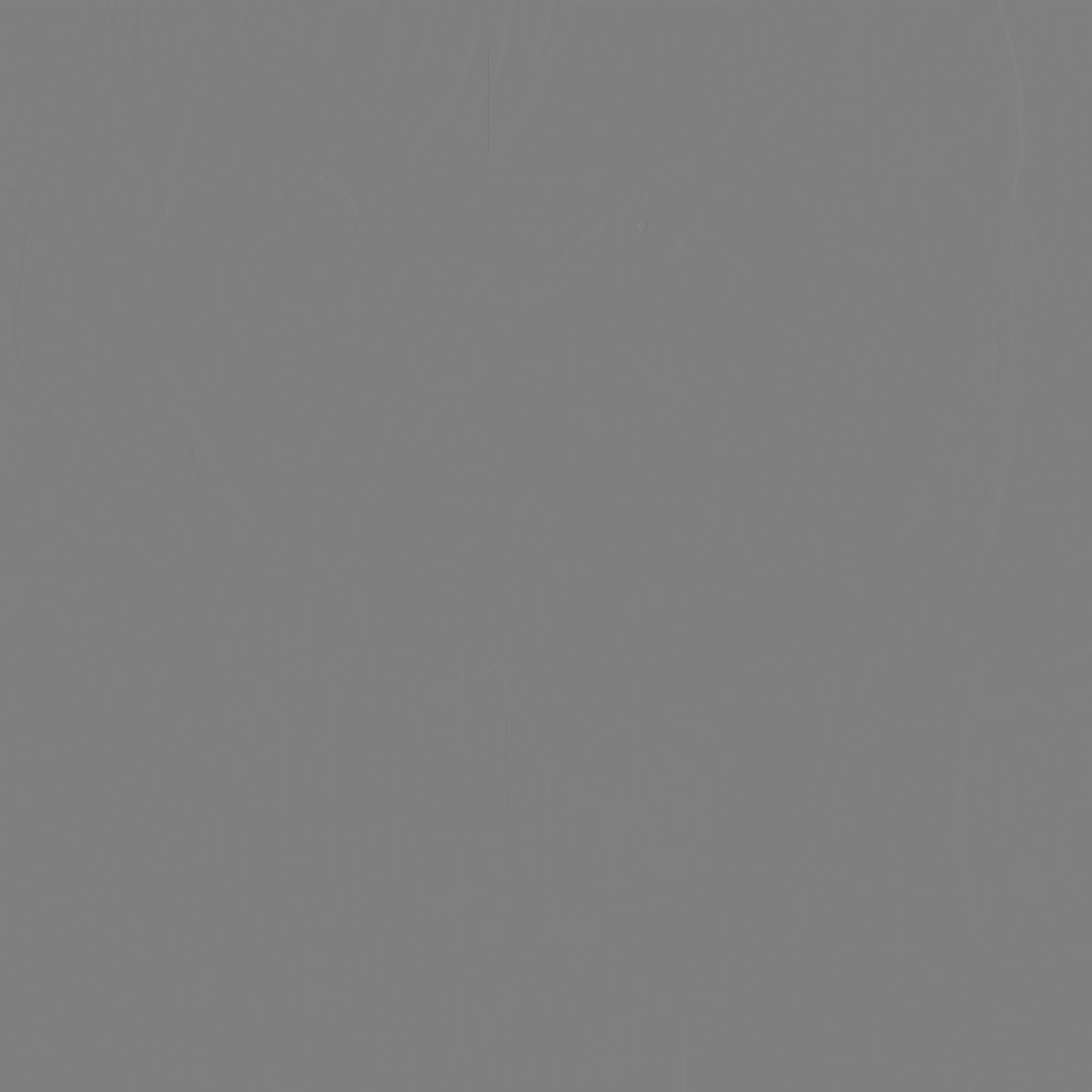 サイダー🫧 tweet media