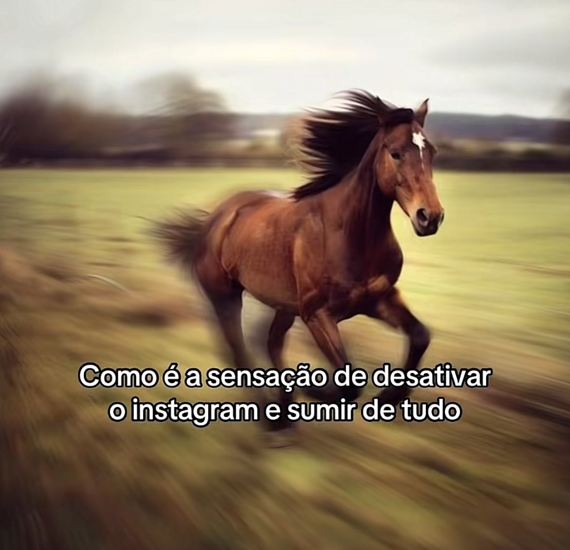 A melhor sensação