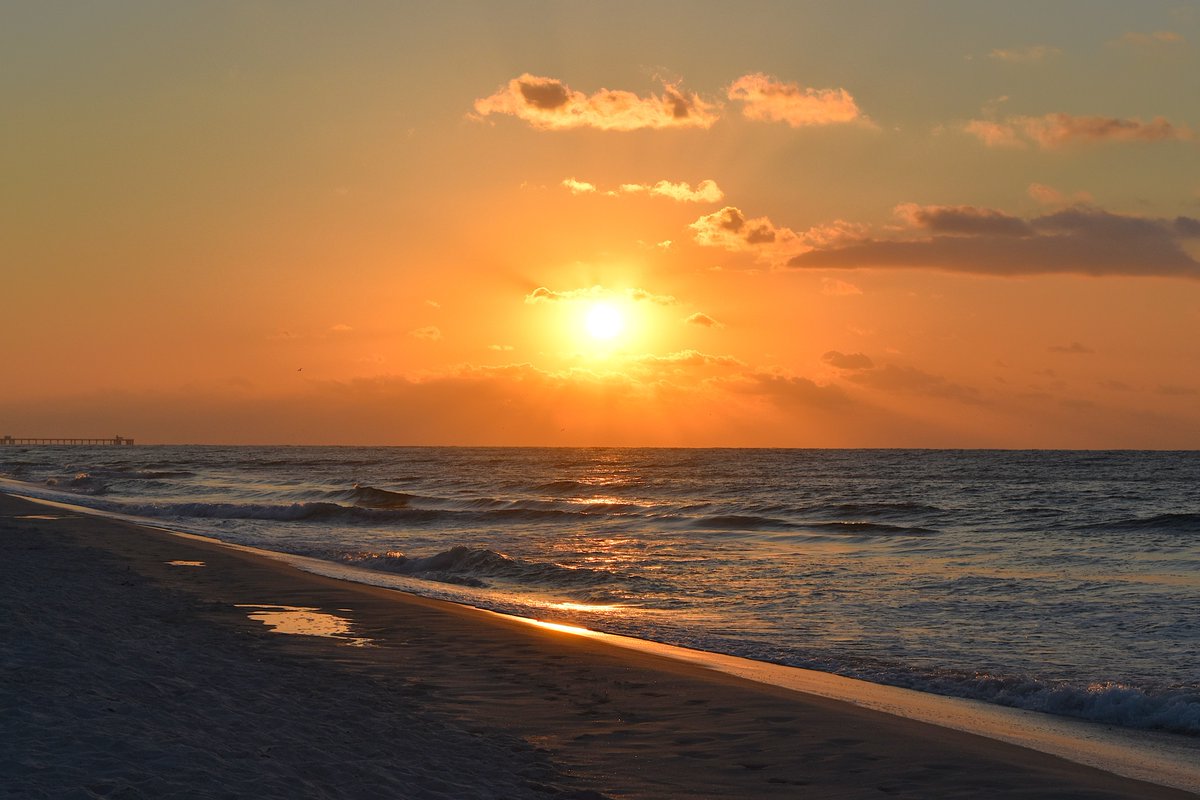 ssdoss56's tweet photo. Gulf Shores AL, West Beach - #Sunrise #Weather
@AlabamaWXNet @abc3340weather @WBRCweather
@weswyattweather @DossJerry @simpsonWVTM13
#ShareYourWeather @spann https://t.co/vf9Uyv557F