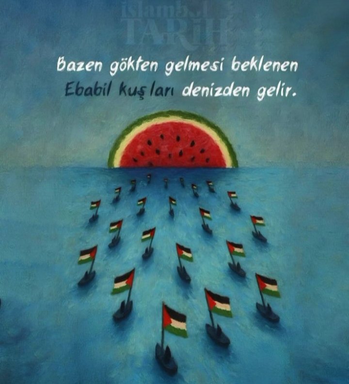 #FreePalestine 
  #SumudFilosu                    
                        🇵🇸