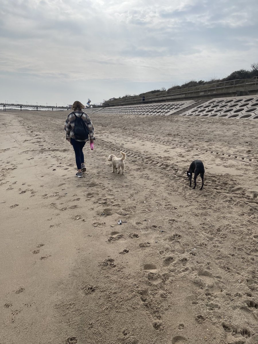 Enjoy each day you can beach walk with wife and dogs
