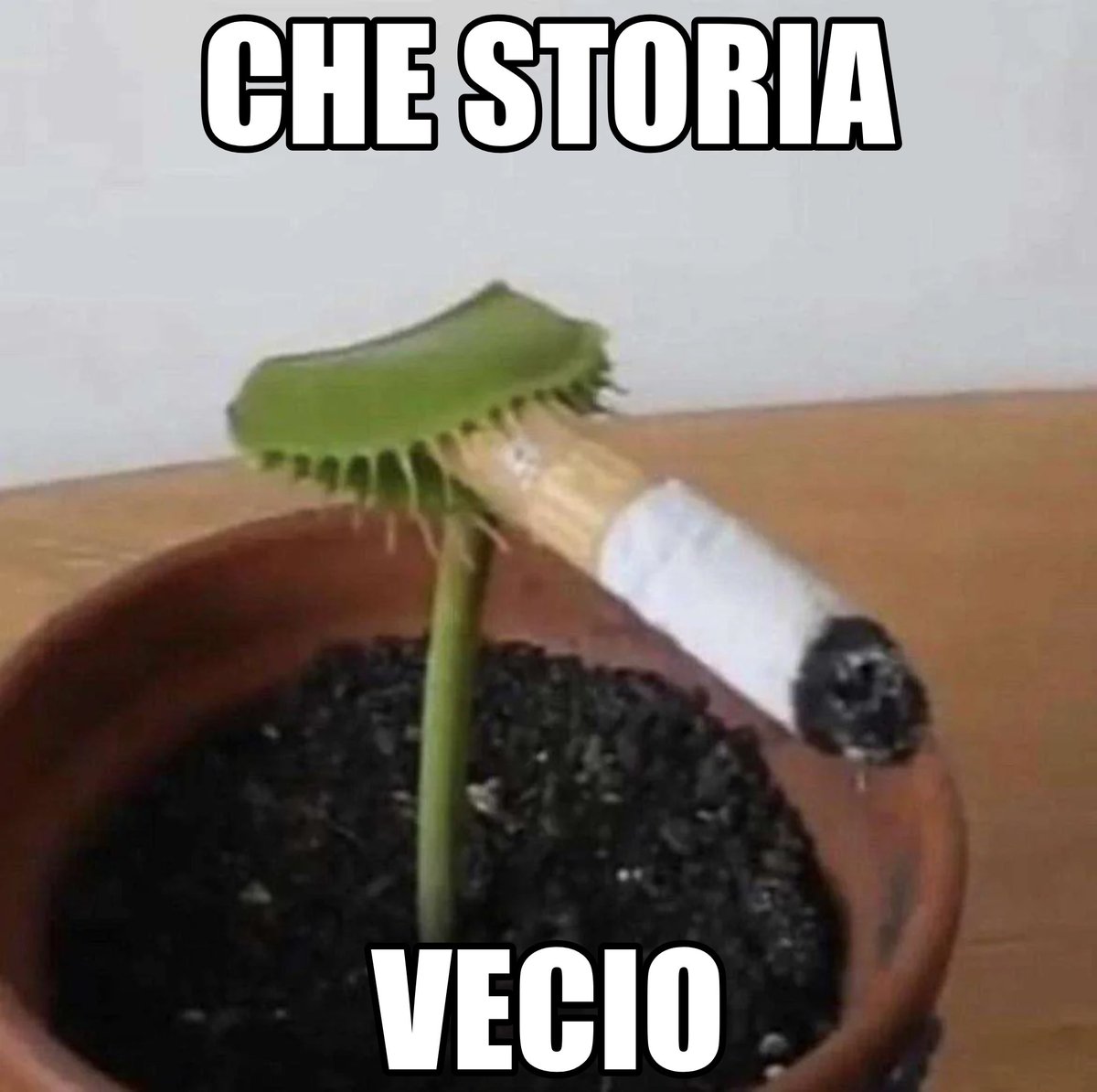 phd_stranameme's tweet image. 