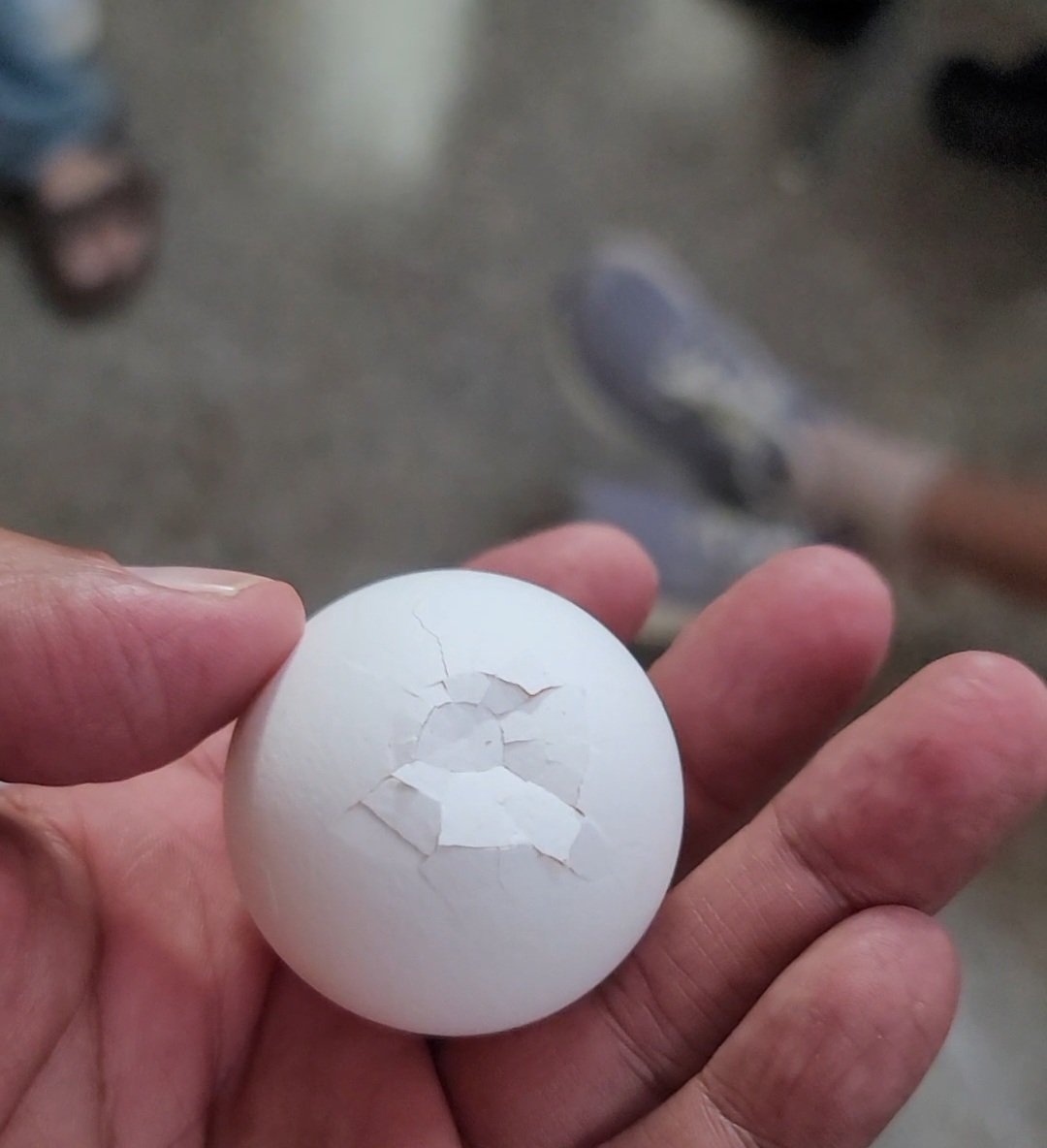 Coach Diaz tweet media