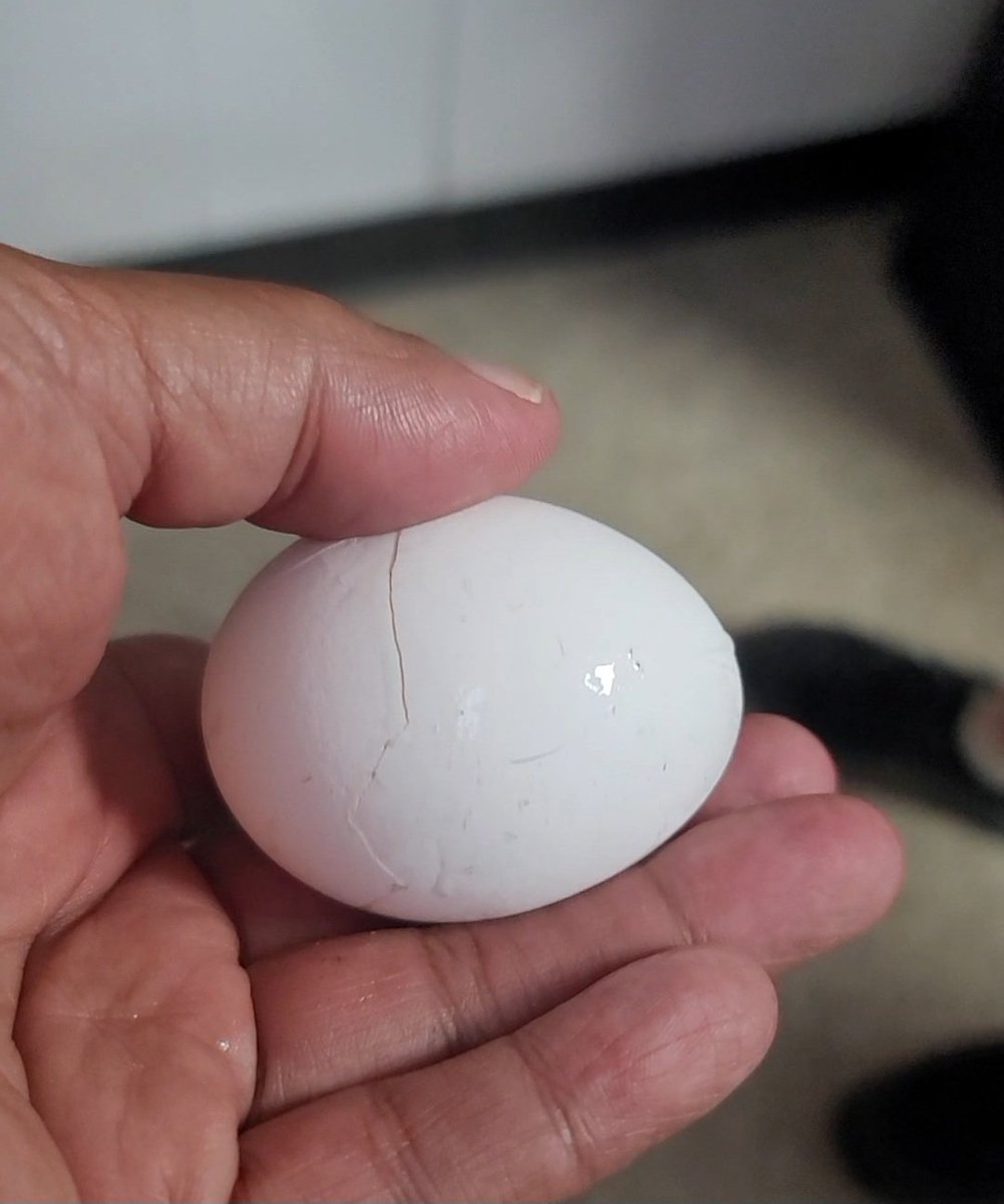 Coach Diaz tweet media