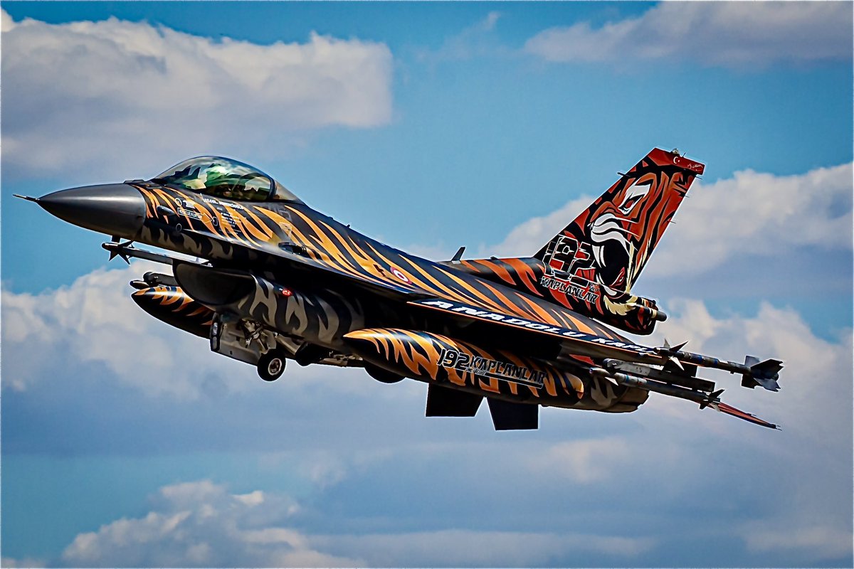 #ntm2025 #ntm25 #natotigers #beja #tigers #natotigermeet #avgeek