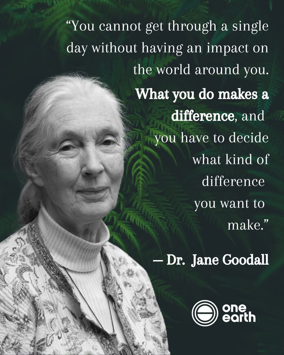 Rest in peace and power, Dr. Jane Goodall. ❤️  

Our hearts are heavy, but your life’s work in redefining how the world understands chimpanzees and championing the protection of all life on Earth will continue to inspire us.  

#ClimateHero #JaneGoodall #NatureConservation